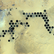 Illustration for article titled What Does This Saharan Oasis Remind You Of?